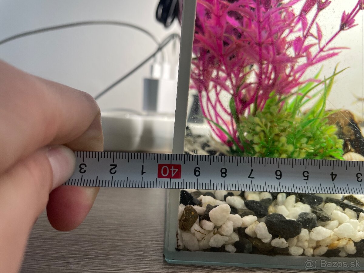 Akvarium s rybami - 2