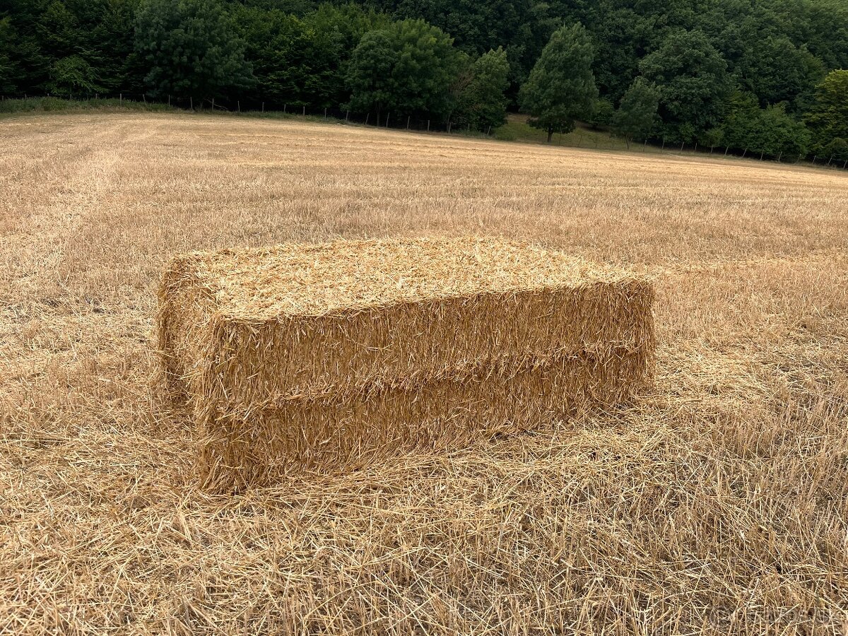 Lis claas - 2