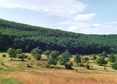 Rekreačný pozemok - 2 392 m2. - 2
