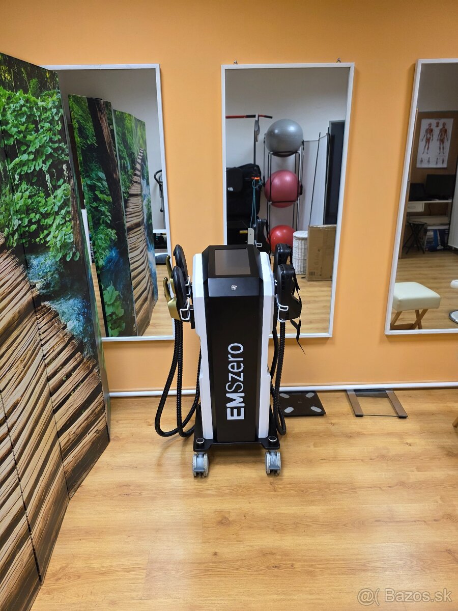 EMS Zero Vianočná cena - 2