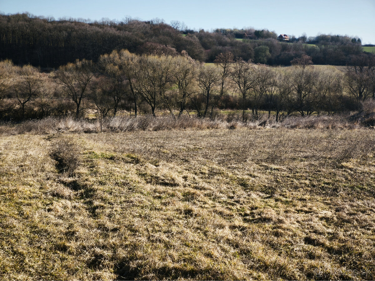 Pozemok na predaj Župčany - 2