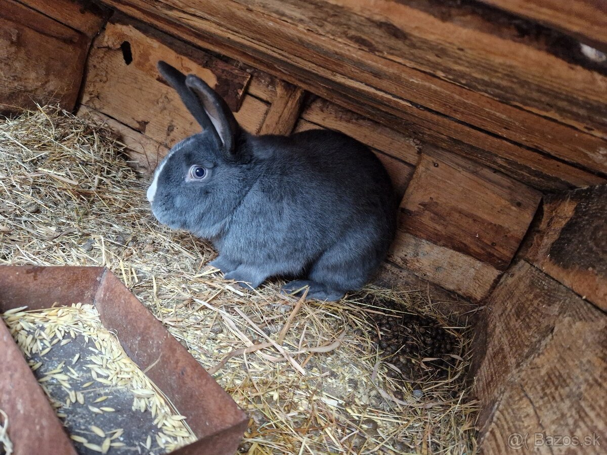 Liptovský lysko - 2