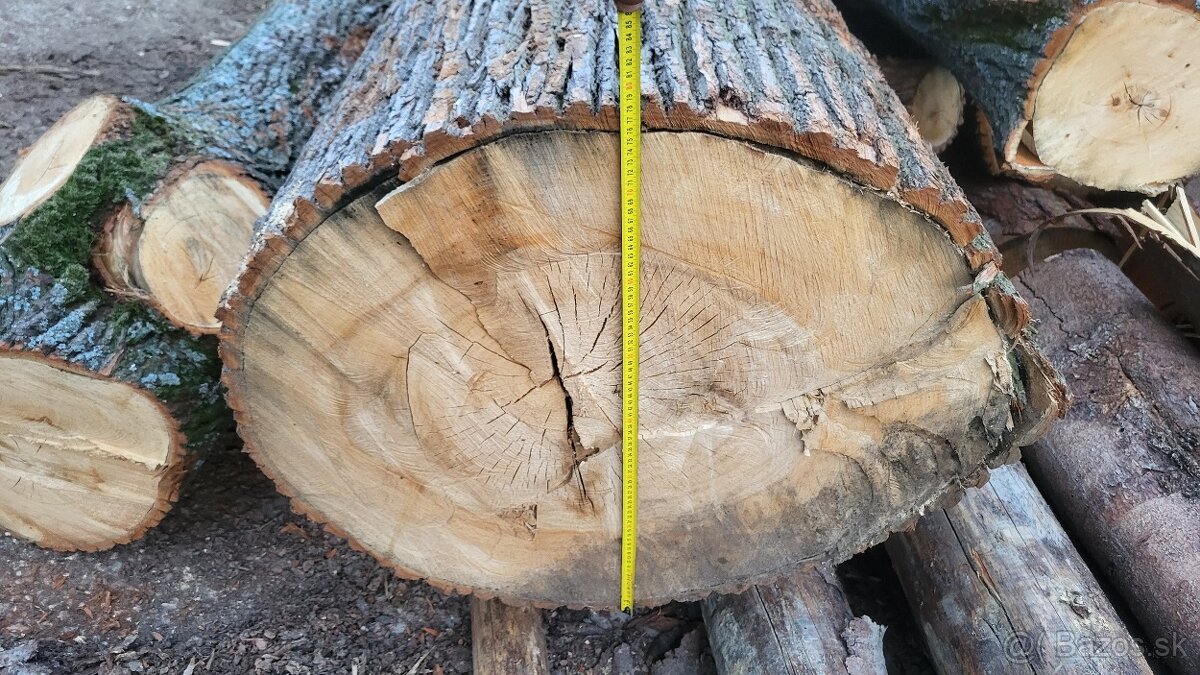 Lipove drevo kmene - 2