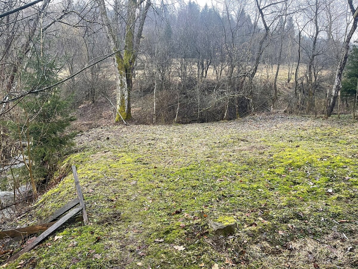 Drevenica s pozemkom - 2