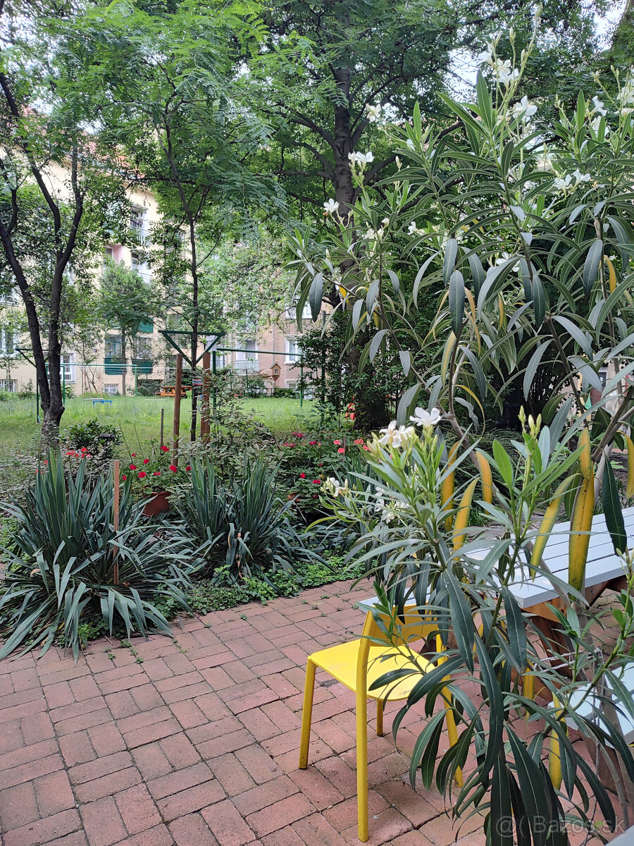 PRENÁJOM: 2 izbový byt, BA I - Staré mesto, Žabotova ulica - 2