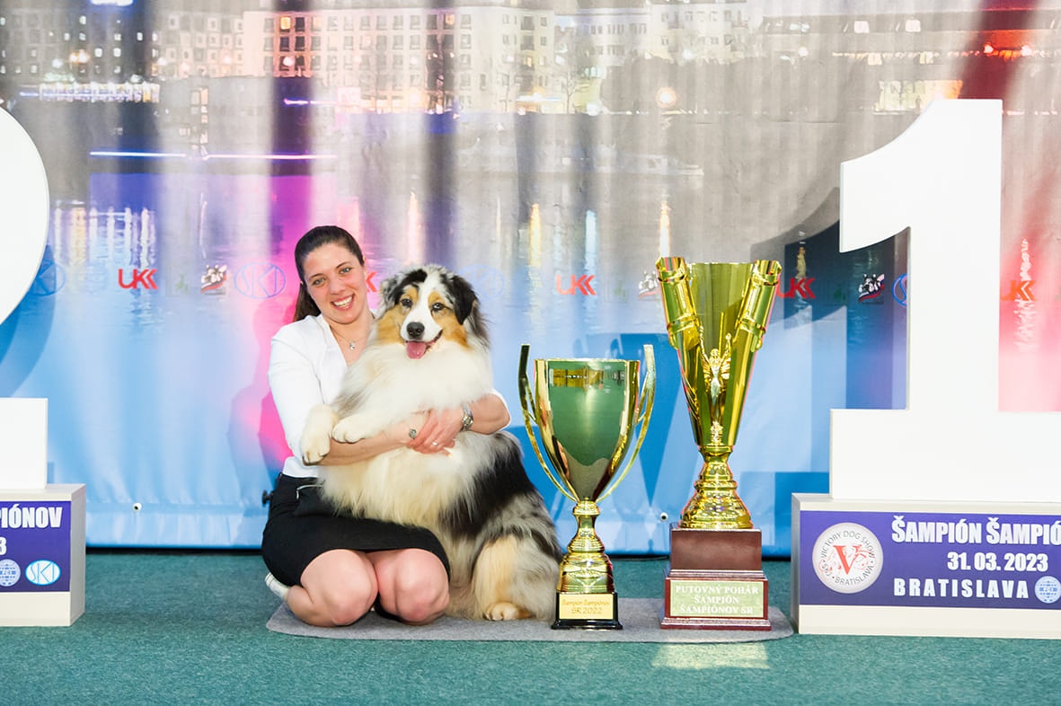 Austrálsky ovčiak - štěniatka - 2