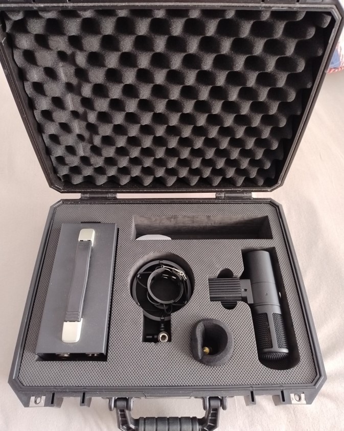 Warm audio WA 8000 - 2