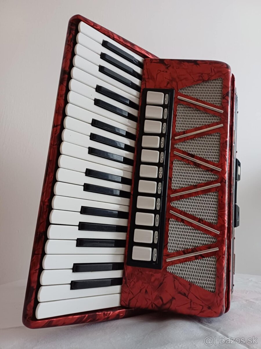 Akordeón Delicia - 2