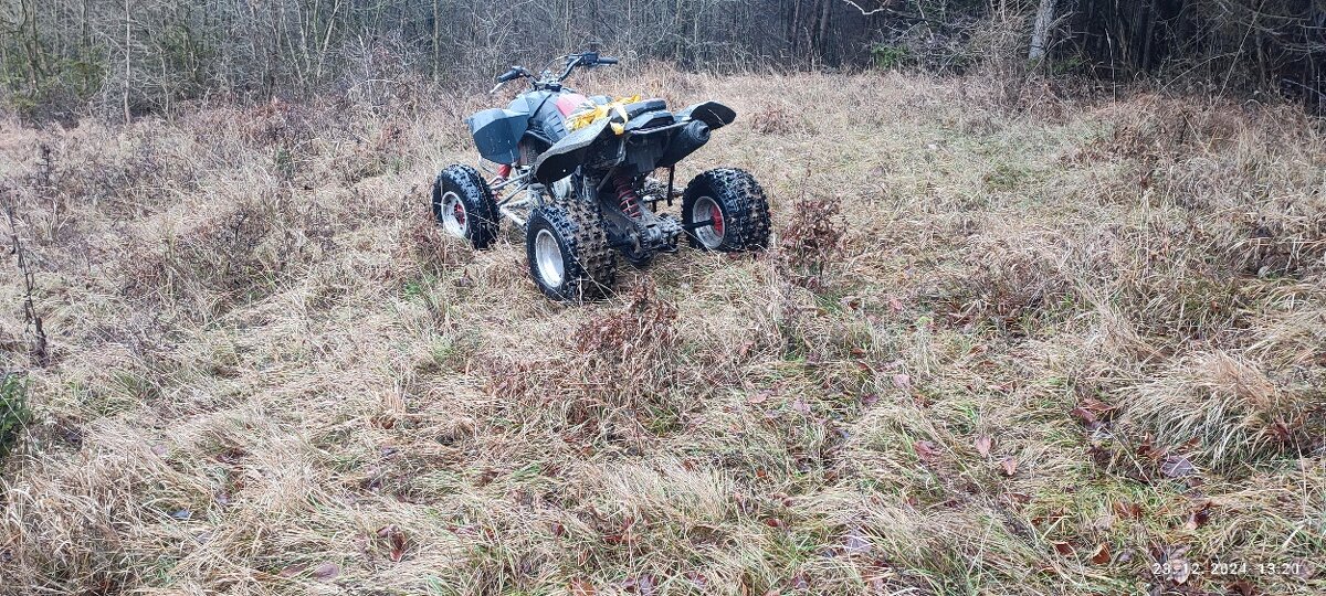 Polaris Predátor 500