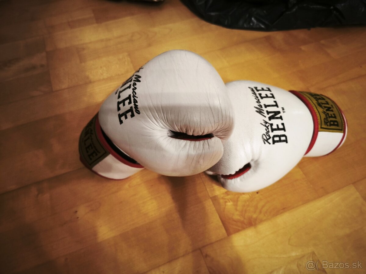 Boxerské rukavice BENLEE - 2