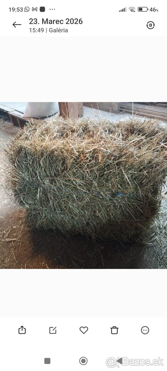 Predam baliky sena - 2