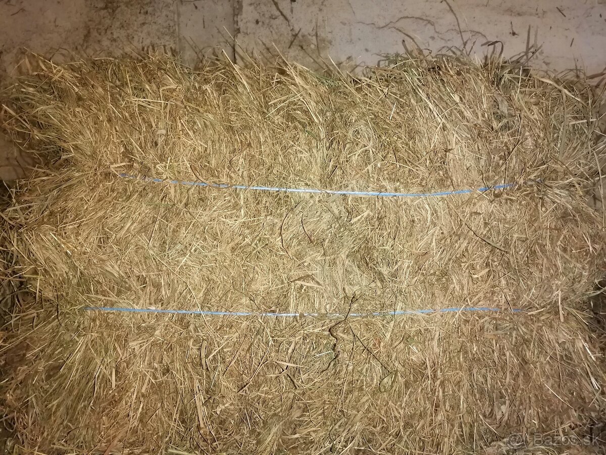 Predám malé senove baliky - 2