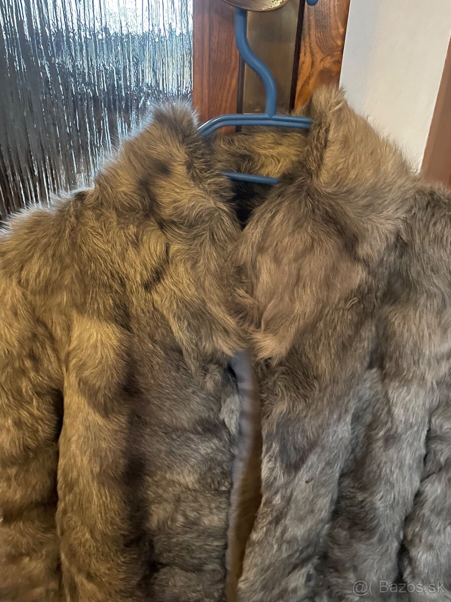 Pravý Kozuch Kozinka - 2