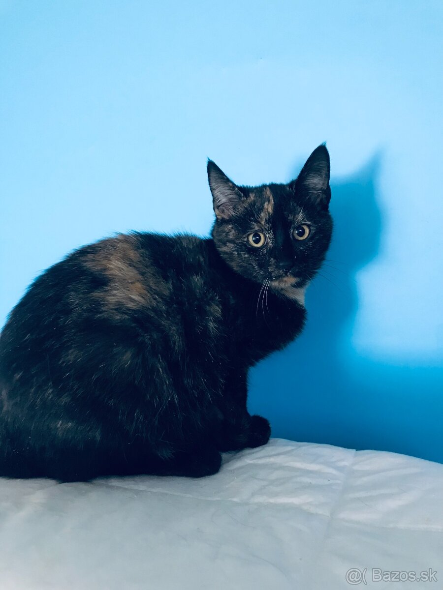 OXANKA SI HĽADÁ DOMOV VO VNÚTRI - 2