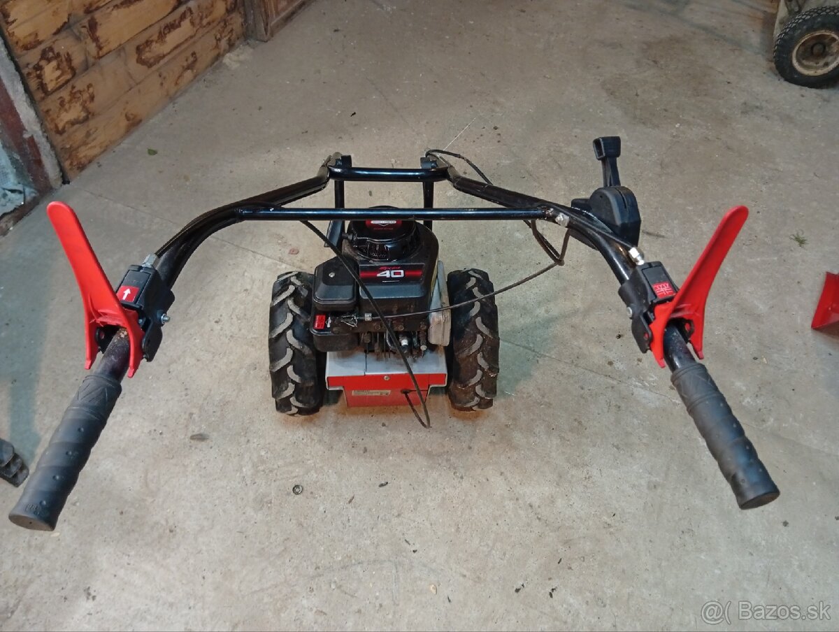 Lištova kosacka - 2