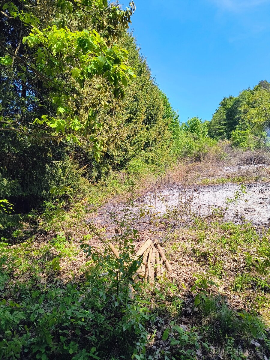 Predám pozemok na Domaši - 2