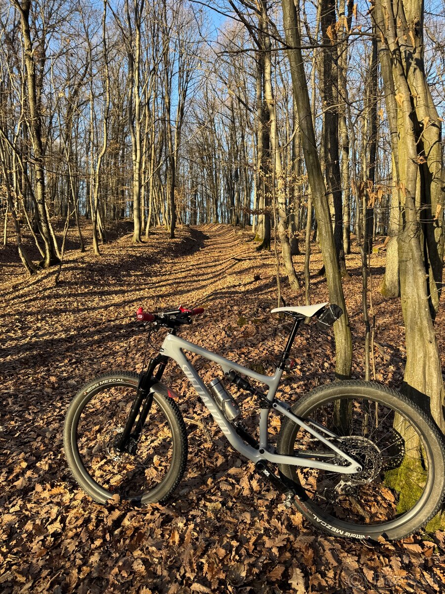 Predam Specialized Epic Evo - 2