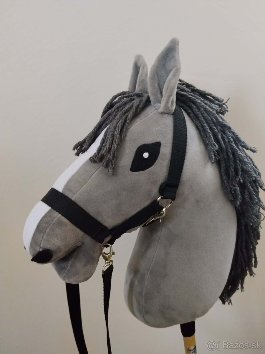 Hobby Horsing - 2