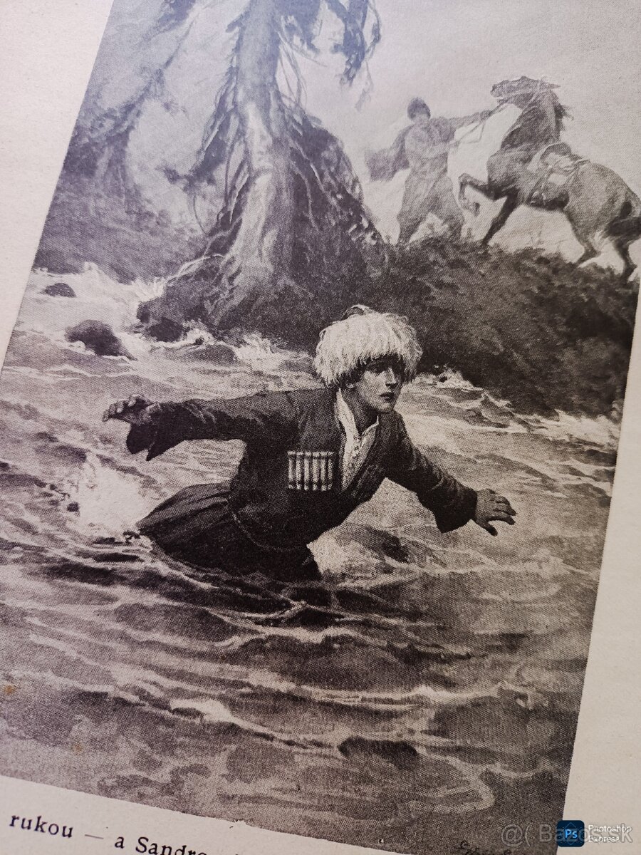 Kniha DŽAVACHOVSKÉ HNÍZDO L.A.ČARSKÁ rok vyd 1919 - 2