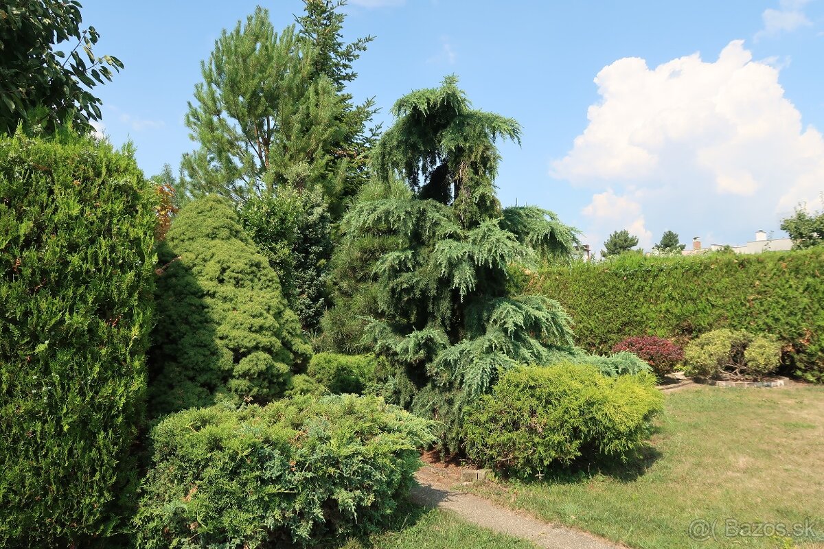 Rodinný dom na predaj - 2