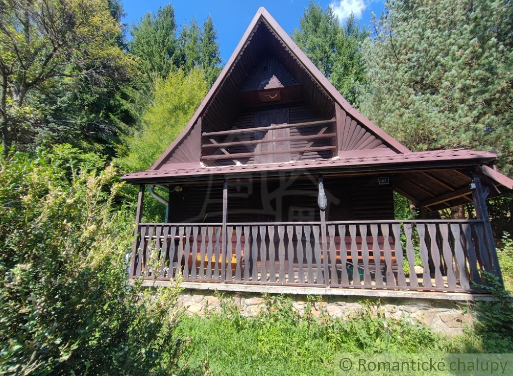 Chata uprostred lesa neďaleko viacerých lyžiarskych stredí - 2