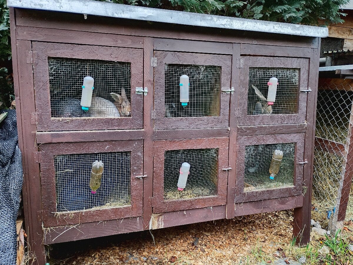 Predám komplet Kralikaren - 2