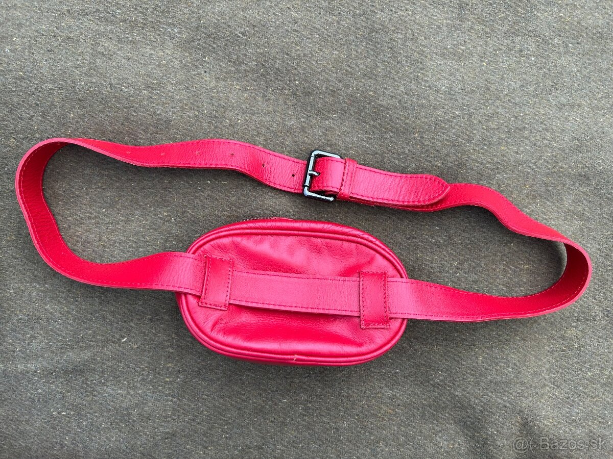 Kožená ľadvinka - 2