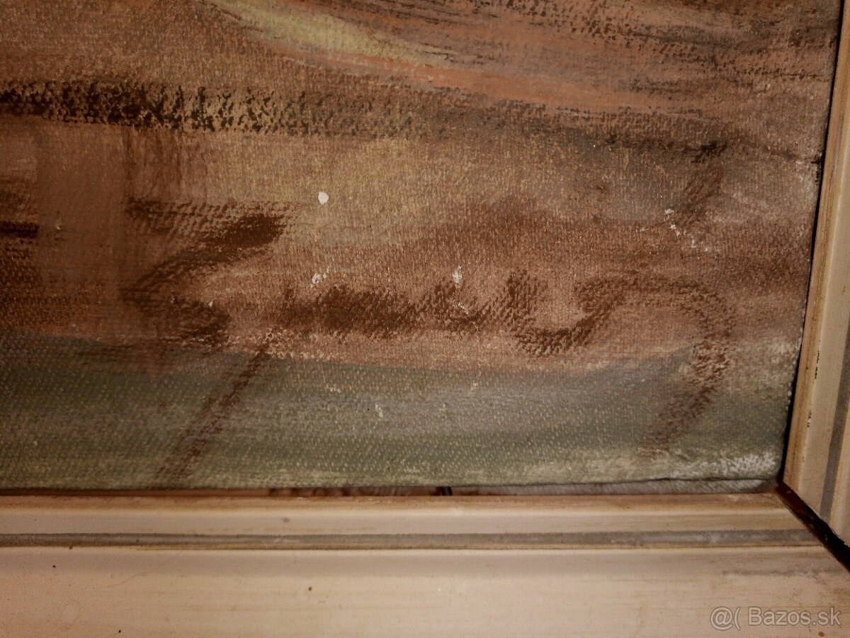 Obraz Chalupy zátišie, autor: Špeník - 2