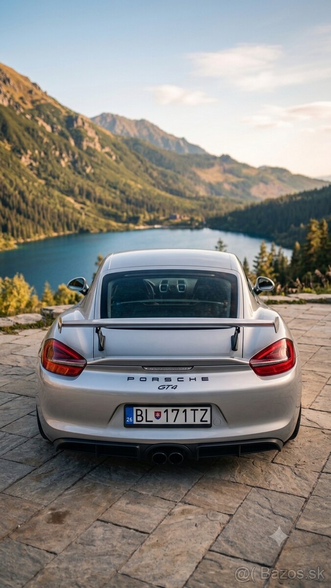 Porsche Cayman GT4 3.8 (981) - 2