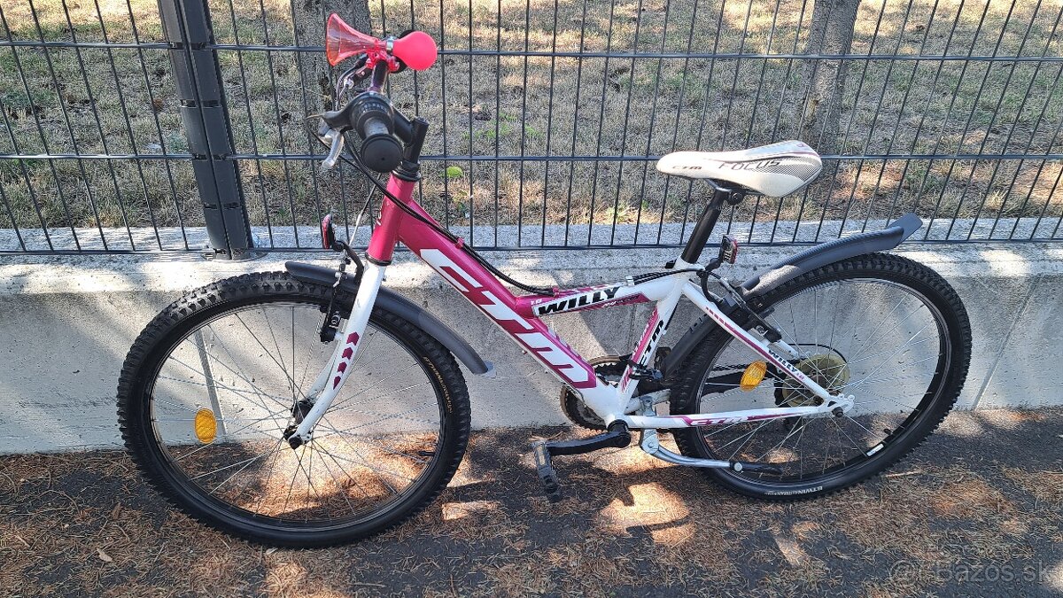 CTM WILLY 1.0 - 2