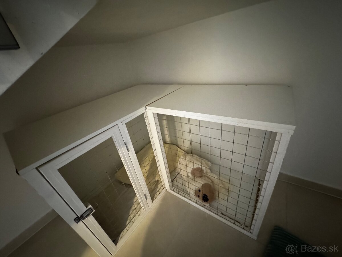 Klientka pre psa - 2