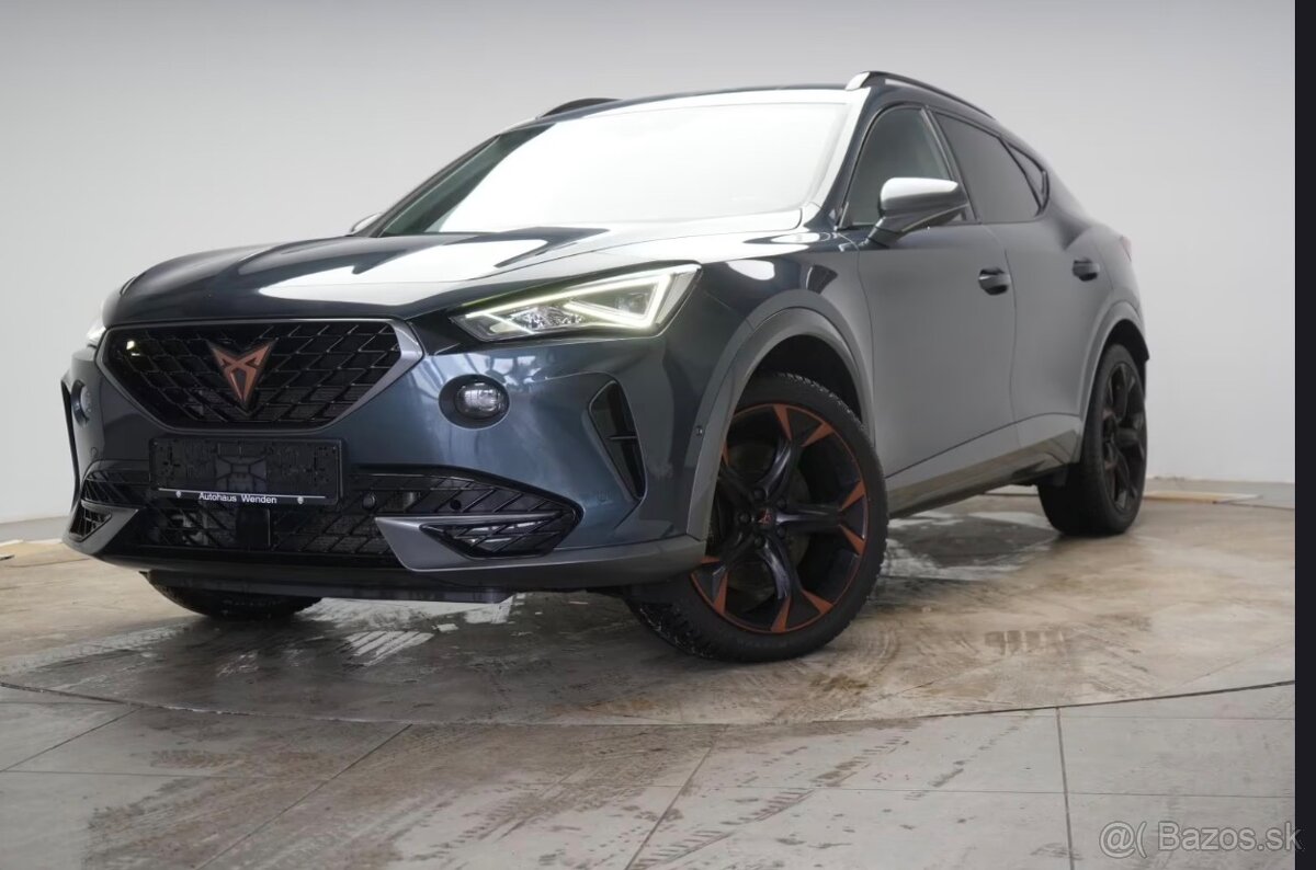 cupra formentor 220 kW DPH - 2