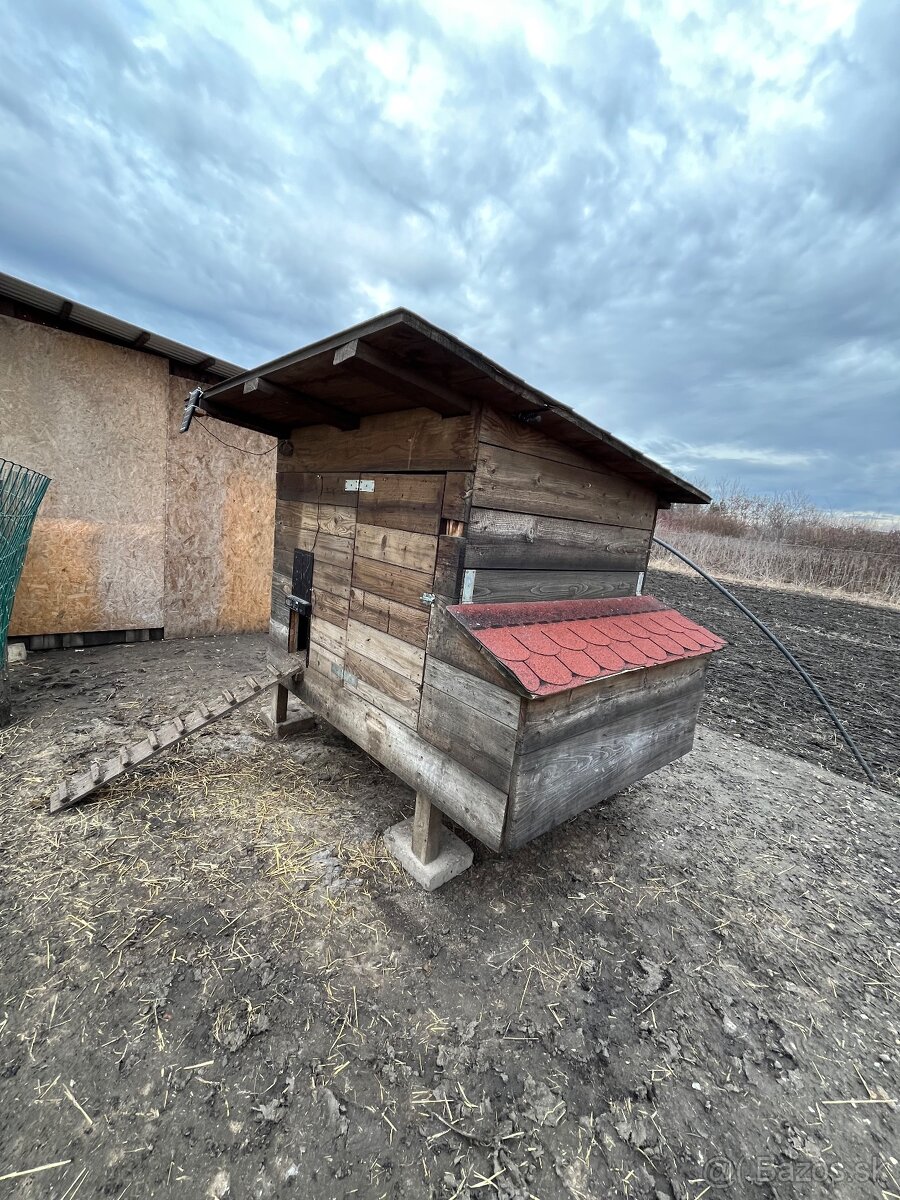 Kurín pre sliepky - 2