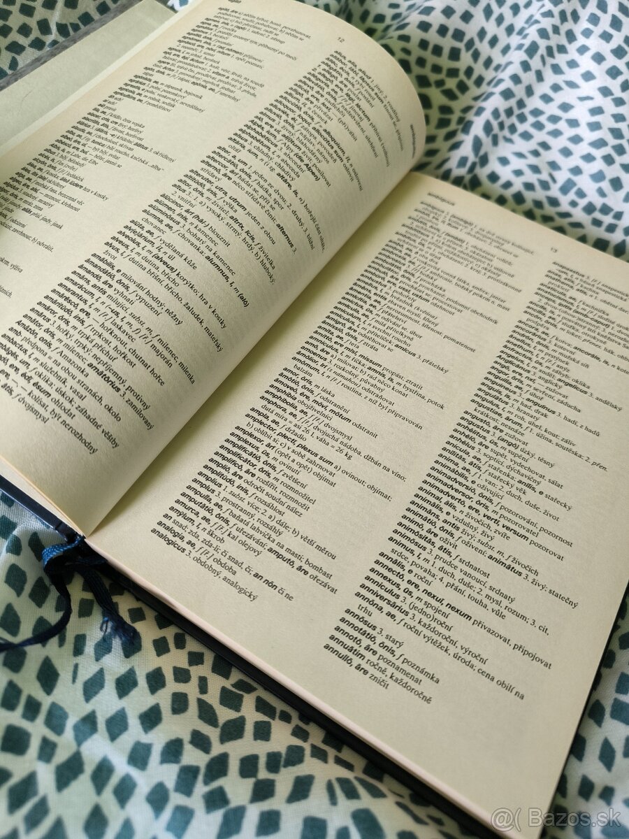 Latinsko-český a česko-latinský slovník - 2