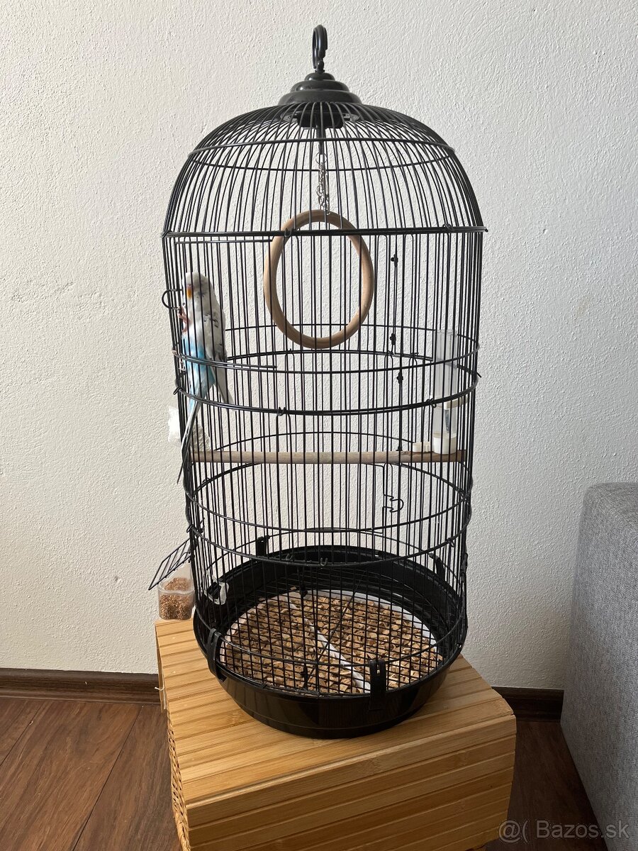 Andulka s klietkou - 2