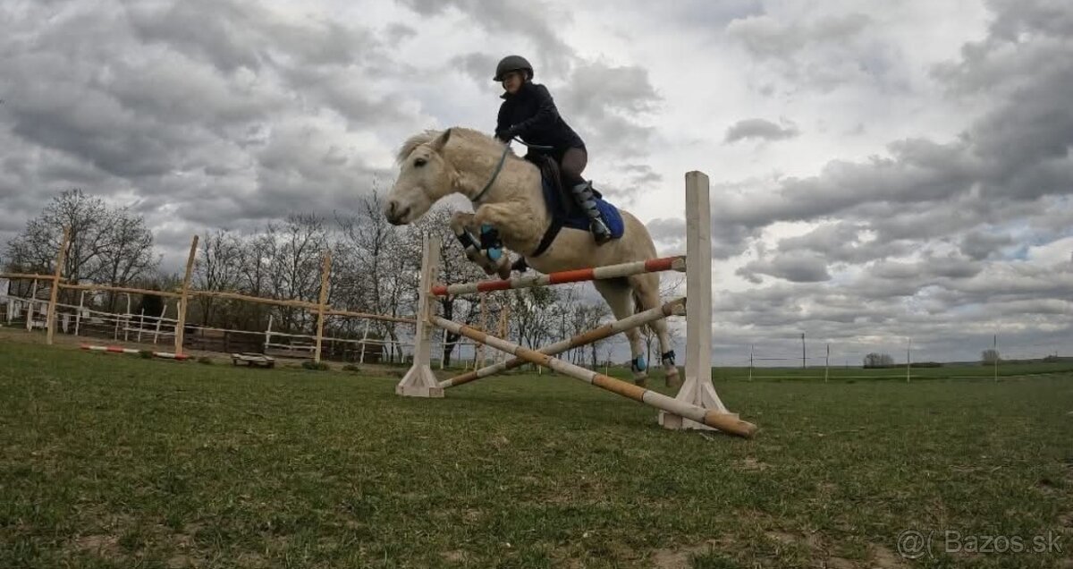 Poník na prenájom - 2