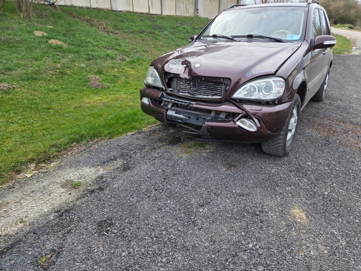 Mercedes Benz ML 270 cdi - 2