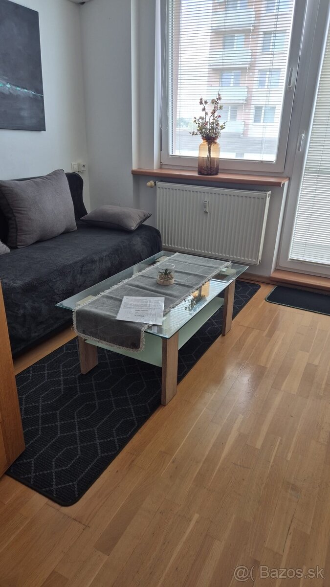 DLHODOBÝ PRENÁJOM / GARSÓNKA / SENICA / - 2