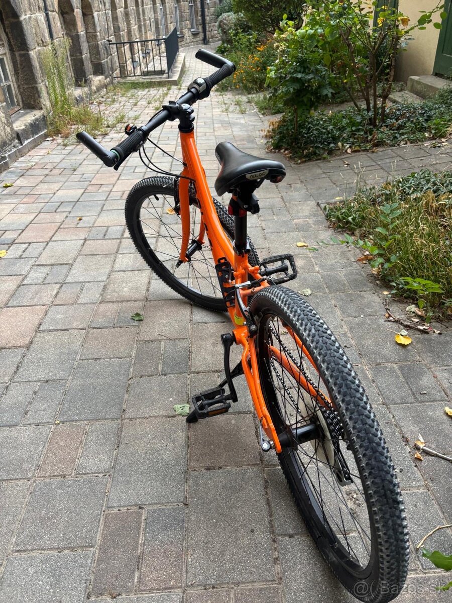 Naloo chameleon mk2 24 - 2