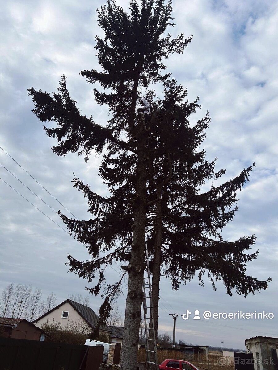 PONÚKAM OREZAVANIE A VÝRUB STROMOV - 2