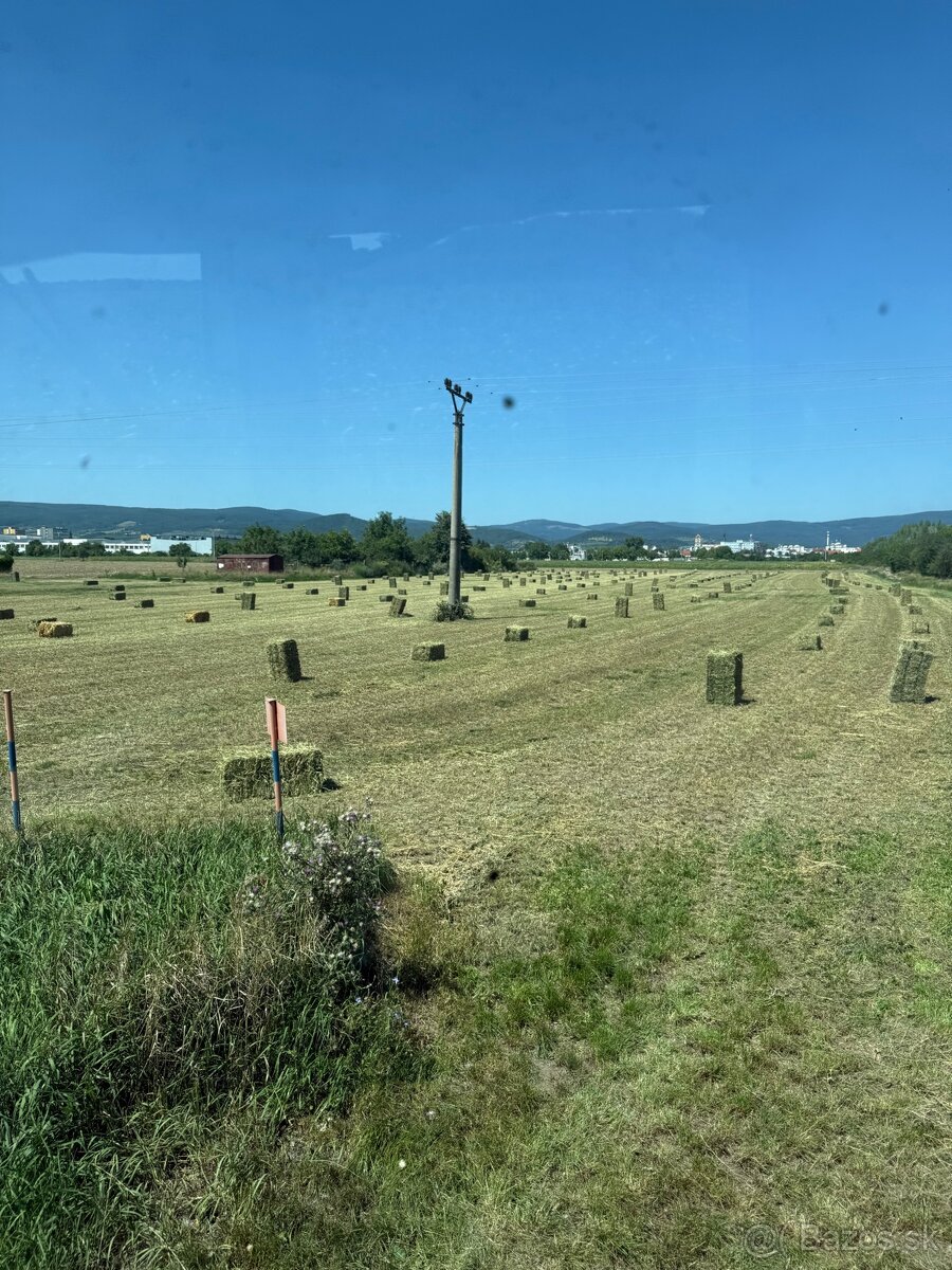 Seno lucerka malé balíky - 2