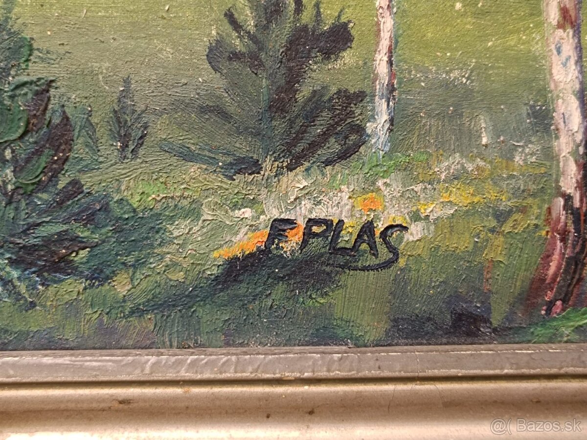 Obraz F. Plas, Statek, olej na plátně 68x98 - 2