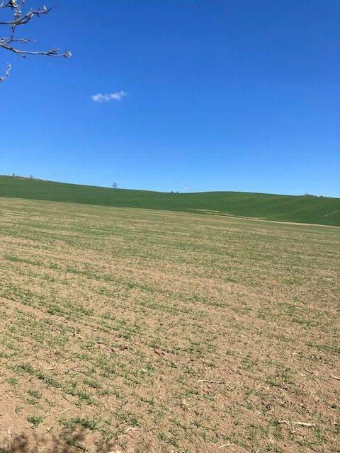 Na predaj Orná pôda Ladce, 1500 m2 - 2