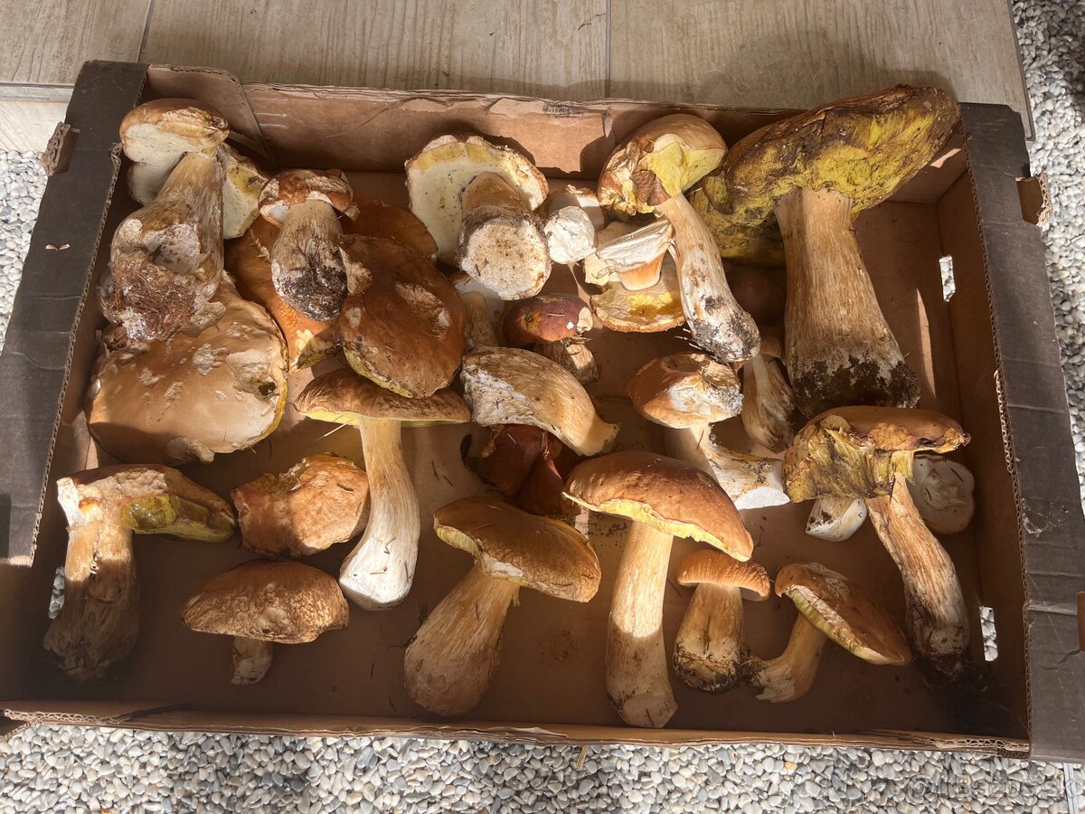 Sušené hríby 0,5 l - 2