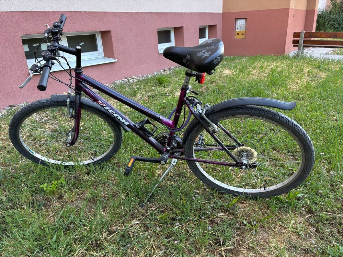 Damsky 24” - 2
