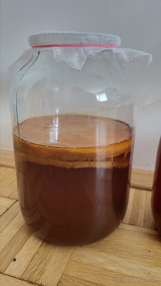 Kombucha - 2