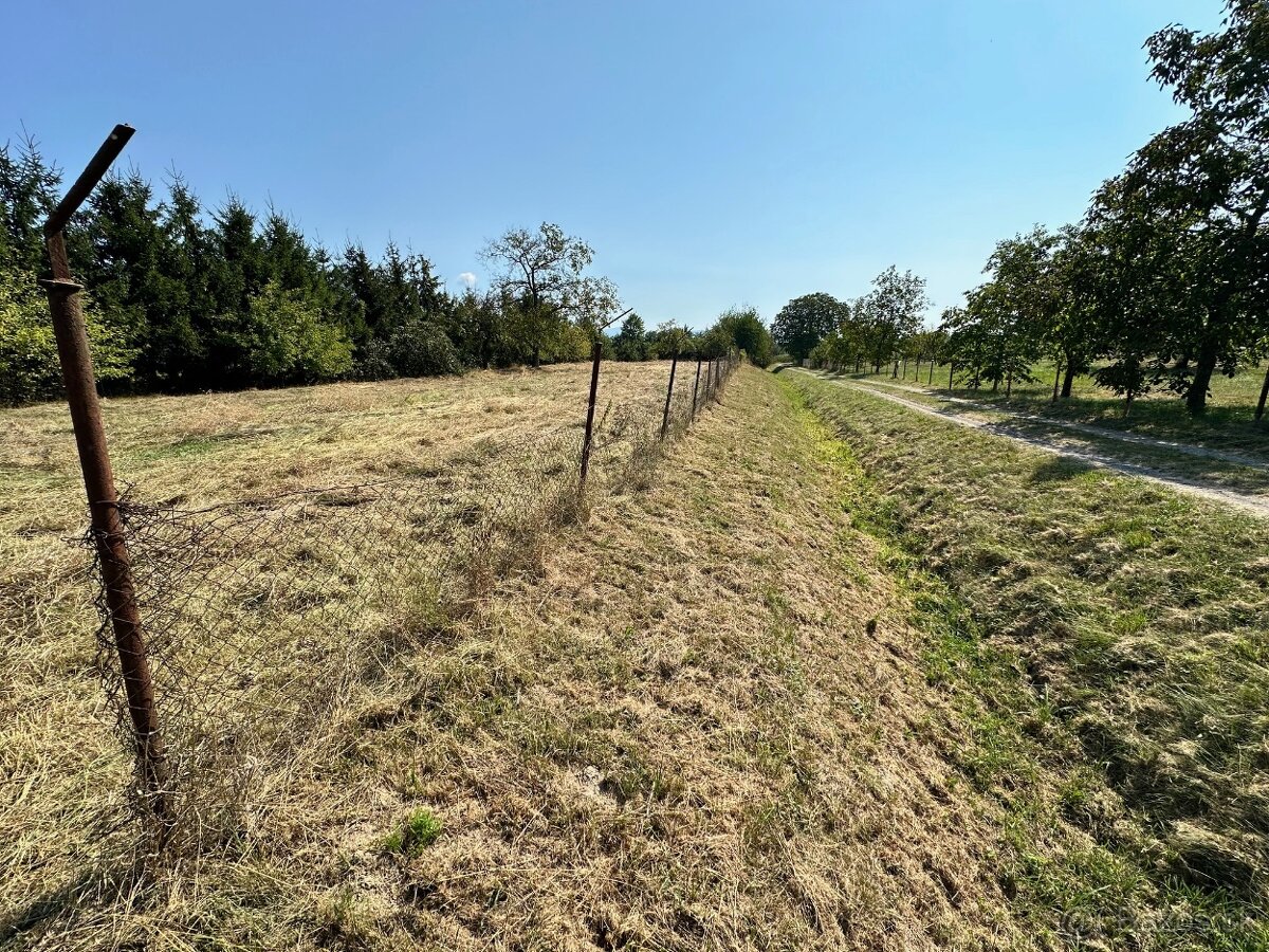 Predaj stavebného P1 alebo P2  pozemku – Pusté Čemerné, 600 - 2