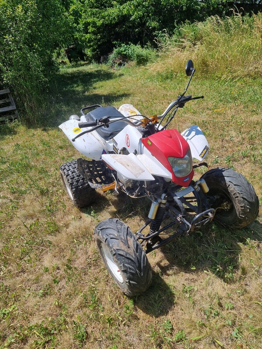 Predam Bashan 250cc