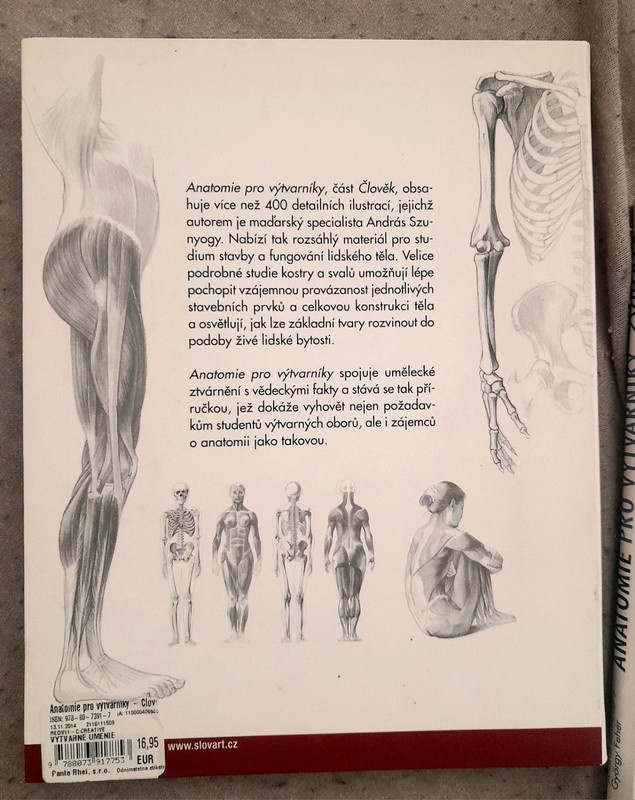 Anatomie pro vytvarniky - 2