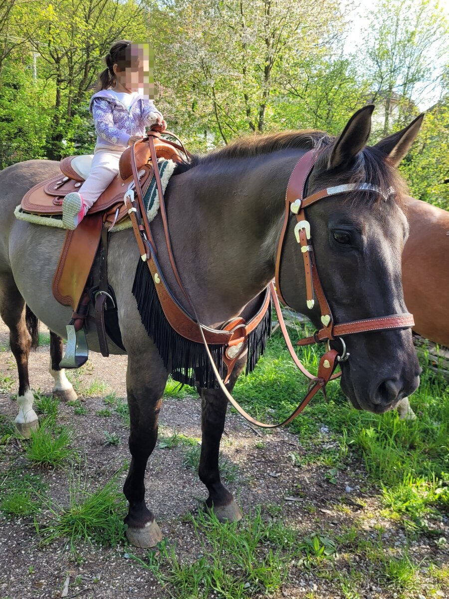 Pohodový valach - 2